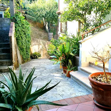 Martina Maison-cilento * San Giovanni a Piro