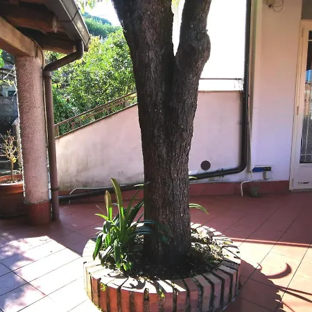 Apartment Martina Maison-cilento *